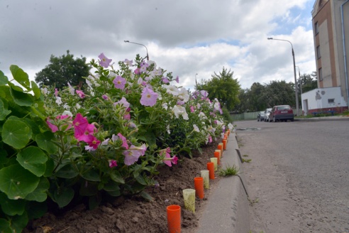 Фотофакт: на улице Хозяйственной можно устраивать мастер-классы по ландшафтному дизайну