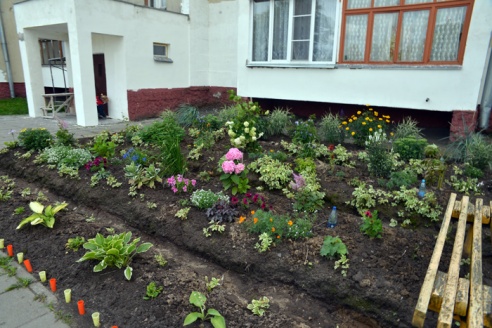 Фотофакт: на улице Хозяйственной можно устраивать мастер-классы по ландшафтному дизайну