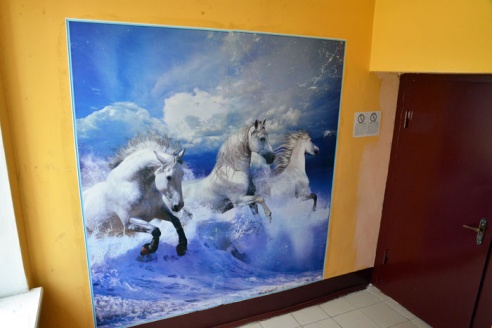 Фотофакт: на улице Хозяйственной можно устраивать мастер-классы по ландшафтному дизайну