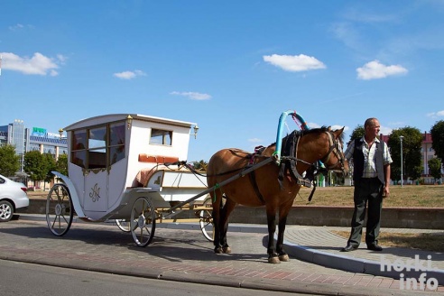 В Горецкий ЗАГС молодые приехали на карете. ФОТО