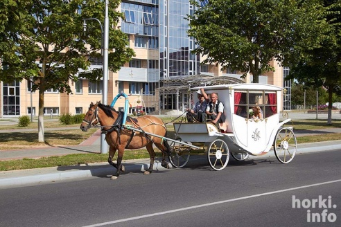 В Горецкий ЗАГС молодые приехали на карете. ФОТО