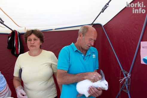 "Дрибинские торжки": вкусный фоторепортаж