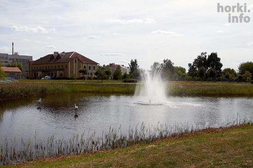 "Дрибинские торжки": вкусный фоторепортаж