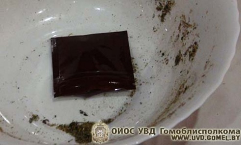 В Гомеле и области задержана интернациональная группа оптовых закладчиков спайса