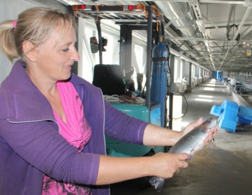 Коммунальное производственное унитарное предприятие «Форелевое хозяйство «Высокое» в районе д.Низьки Костюковичского района организовано решением облисполкома 18 мая 2015 года (+ фото)