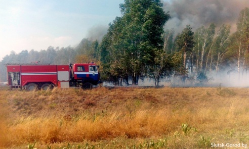 В Слуцком районе недалеко от деревни Нежевка горит лес