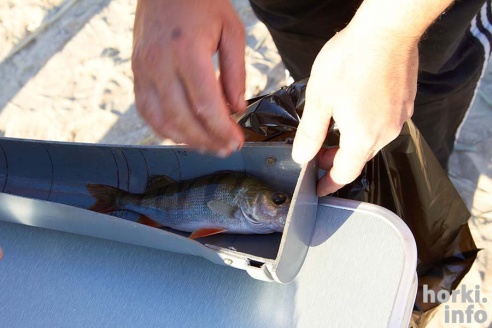 Чисто мужское счастье: Open Spinning Cup в Горках. 50 фотографий первого дня