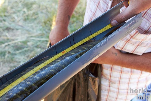 Чисто мужское счастье: Open Spinning Cup в Горках. 50 фотографий первого дня