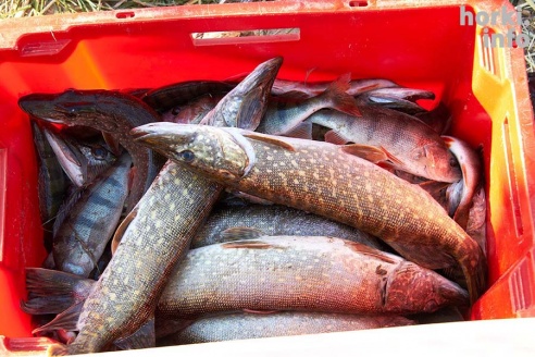 Чисто мужское счастье: Open Spinning Cup в Горках. 50 фотографий первого дня