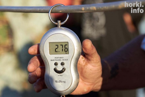 Чисто мужское счастье: Open Spinning Cup в Горках. 50 фотографий первого дня