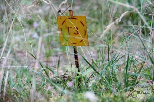 В Будище Вилейского района минчане строиться не будут, или Как жители деревни отстояли свою малую родину (ФОТО)