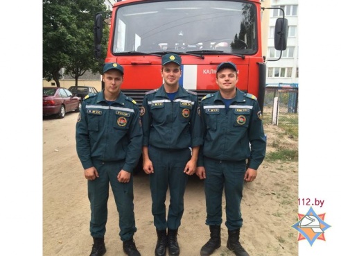 В Гомельской области осы атаковали детский сад — Гомель сегодня