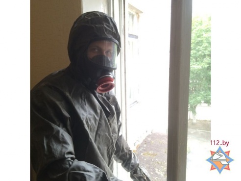 В Гомельской области осы атаковали детский сад — Гомель сегодня