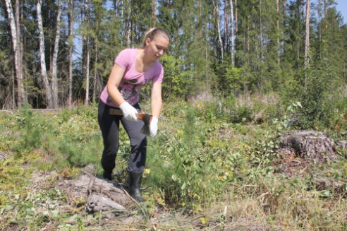Корреспондент районной газеты «Голас Касцюкоушчыны» трудилась в лесу (+ фото)