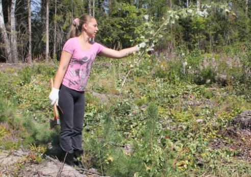 Корреспондент районной газеты «Голас Касцюкоушчыны» трудилась в лесу (+ фото)