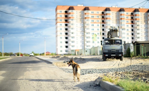 Как живётся в Шведской Горке. Журналисты побывали в гостях у новосёлов самого молодого микрорайона Гомеля