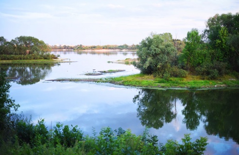 Как живётся в Шведской Горке. Журналисты побывали в гостях у новосёлов самого молодого микрорайона Гомеля