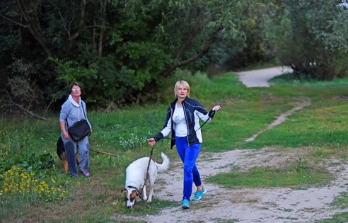 Как живётся в Шведской Горке. Журналисты побывали в гостях у новосёлов самого молодого микрорайона Гомеля