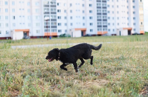 Как живётся в Шведской Горке. Журналисты побывали в гостях у новосёлов самого молодого микрорайона Гомеля
