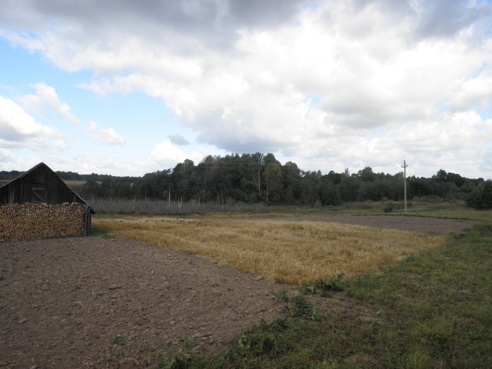 На месте гибели отряда