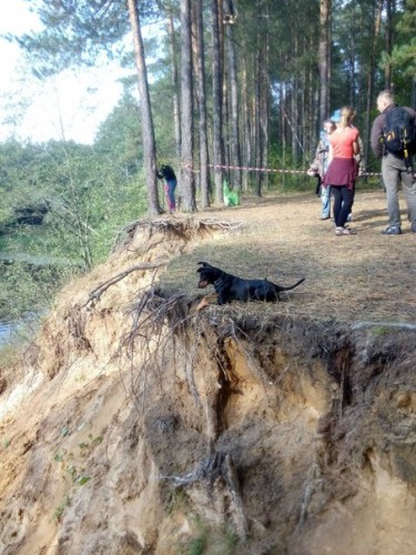 ФОТО- и ВИДЕОРЕПОРТАЖ: Как в Вилейском районе прошел фестиваль Trolley-2015