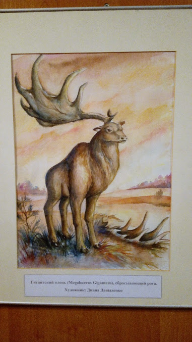 Останки доисторического большерогого оленя во дворце Румянцевых-Паскевичей Останки доисторического большерогого оленя во дворце Румянцевых-Паскевичей