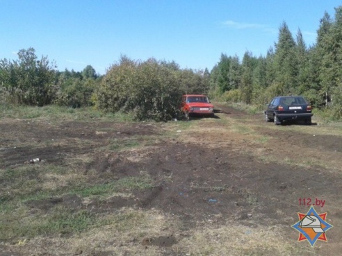 За один день в Хойникском районе за посещение леса наказали 10 человек