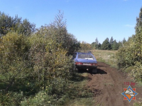 За один день в Хойникском районе за посещение леса наказали 10 человек