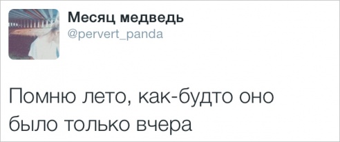 32 августа. Что пишут случчане в Twitter и Instagram про День знаний