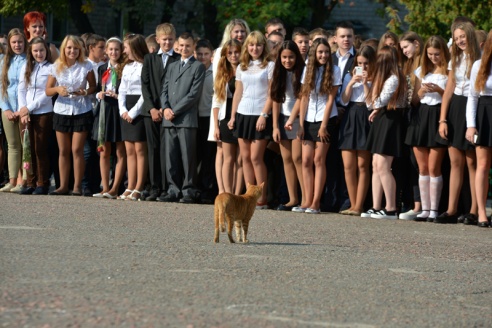 В Советском районе участников школьной линейки окропили святой водой