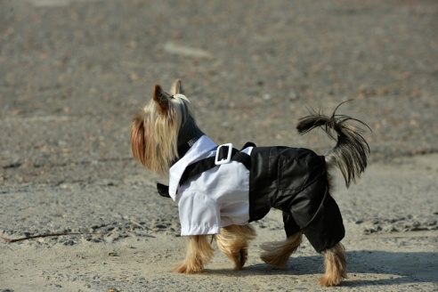В Советском районе участников школьной линейки окропили святой водой