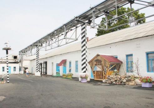 Проезжая по улице Юношеской города Костюковичи нельзя не заметить утопающие в цветах клумбы около филиала ОАО «Бабушкина крынка» (+ фото)