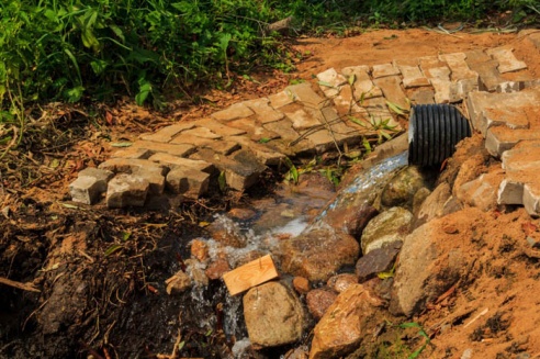 Как мстиславский агрогородок готовился к районным "Дажынкам". ФОТО
