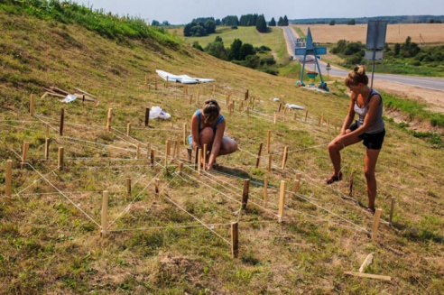 Как мстиславский агрогородок готовился к районным "Дажынкам". ФОТО