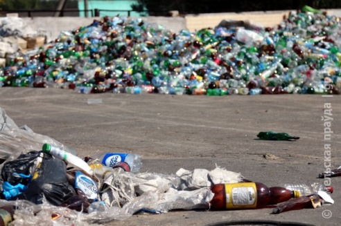 Проверка молочной фермы в Петриковском районе: насекомые повсюду