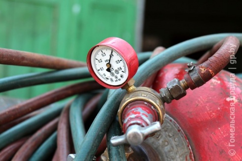 Проверка молочной фермы в Петриковском районе: насекомые повсюду