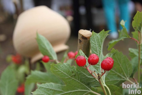 50 оттенков "Дажынак" в Овсянке