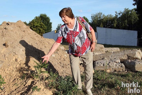 Парк в Горках вырубают ради гаражей