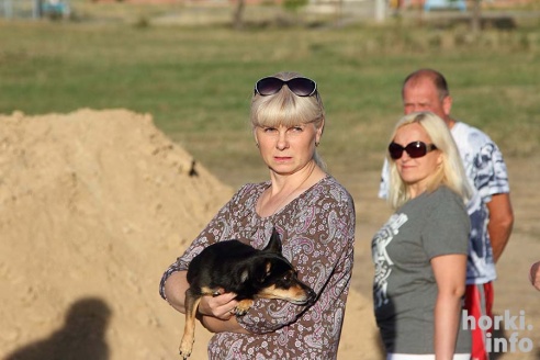 Парк в Горках вырубают ради гаражей