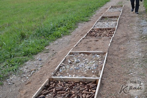 Тропу здоровья протяженностью 330 метров строят в Глубоком (ФОТО)