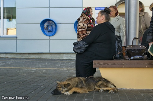 Фоторепортаж: в Гомеле завершилась масштабная реконструкция автовокзала