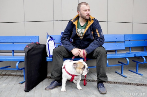 Самоед, ка-де-бо и сибирский хаски: фоторепортаж c республиканской выставки собак в Гомеле
