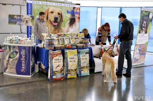 Самоед, ка-де-бо и сибирский хаски: фоторепортаж c республиканской выставки собак в Гомеле