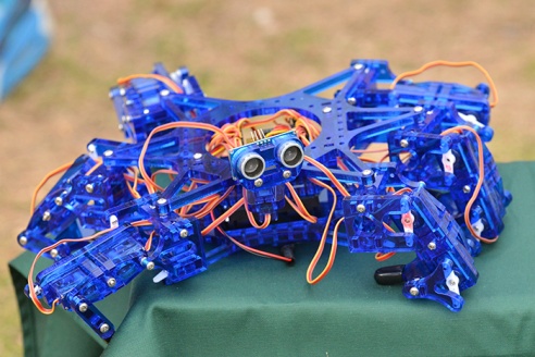 Как отмечали День города в Советском районе (фото)