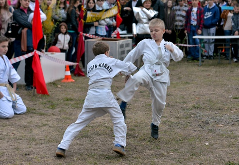 Как отмечали День города в Советском районе (фото)