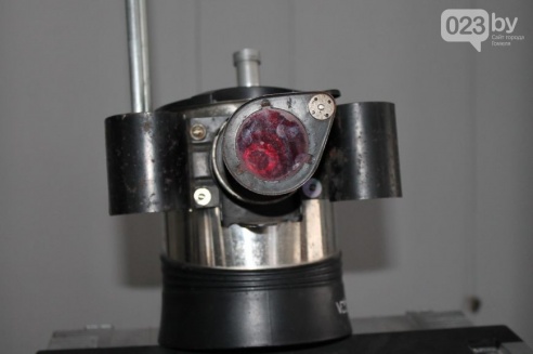 «Терминатор – мой лучший друг»: в Гомель приехала выставка роботов