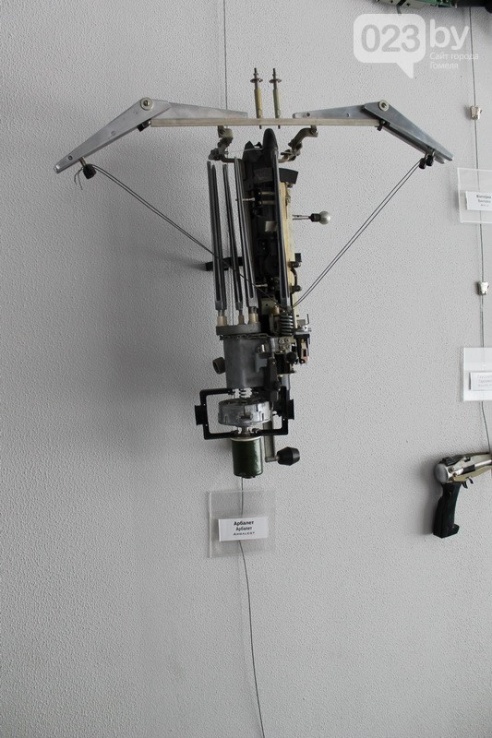 «Терминатор – мой лучший друг»: в Гомель приехала выставка роботов