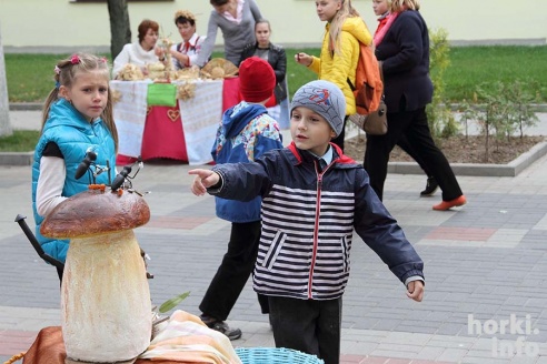 50 фото о том, как в Горках прошел областной фестиваль детей и молодежи