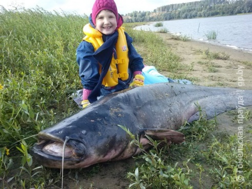 Гомельчанин поймал в Днепре двухметрового сома весом в полцентнера