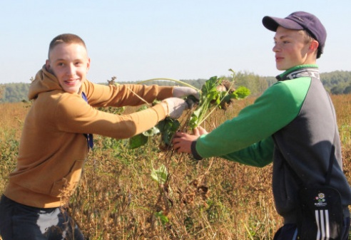 Развитие деятельности студенческих отрядов остается приоритетным направлением в воспитании молодежи Костюковичского района (+ фото)